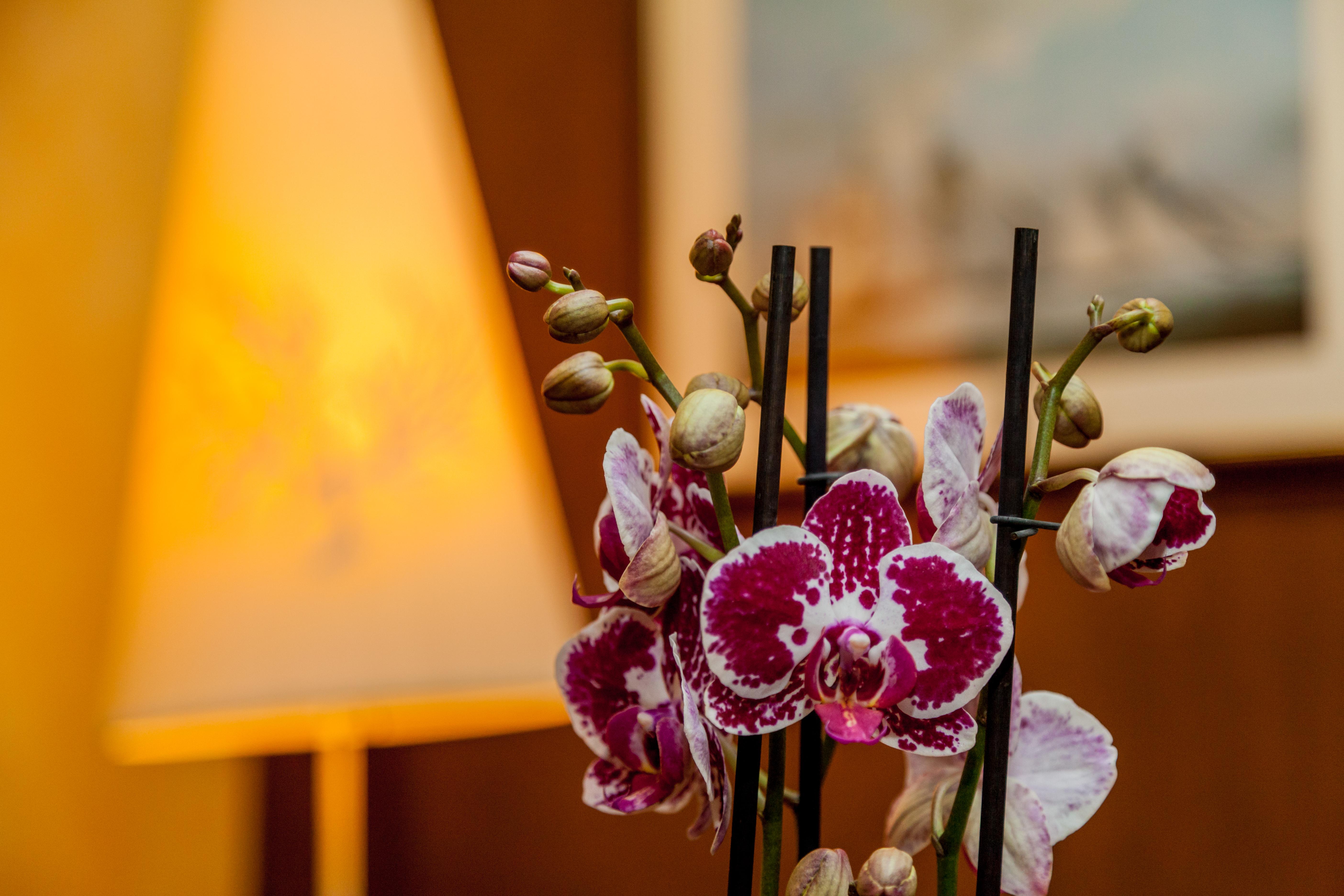 La Vecchia Fonte Boutique Hotel Palau Ngoại thất bức ảnh